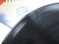 Load image into Gallery viewer, The Edgar Winter Group With Rick Derringer ECPO-69 OBI Poster Japan LP Vinyl
