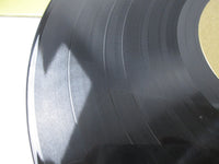 Load image into Gallery viewer, Jeff Beck Group Rough And Ready EQ 30973 LP Vinyl
