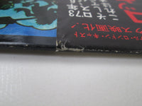 Load image into Gallery viewer, The Rocky Horror Show OST MW 2142 with OBI Japan LP Vinyl
