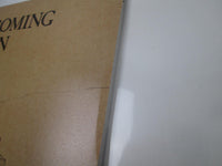 Load image into Gallery viewer, Bob Dylan Slow Train Coming CBS/Sony 25AP 1610 with OBI Japan LP Vinyl
