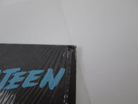 Load image into Gallery viewer, BRUCE SPRINGSTEEN RIVER CBS/SONY 40AP 1960,1 with OBI Japan LP Vinyl
