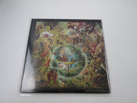 Load image into Gallery viewer, ELTON JOHN CAPTAIN FANTASTIC AND THE BROWN 25AP 1560 with OBI Japan LP Vinyl
