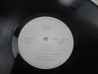 Load image into Gallery viewer, Steely Dan Gaucho Promo VIM-6243 with OBI Japan LP Vinyl
