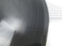 Load image into Gallery viewer, Blink 182 Dude Ranch GRL-004 LP Vinyl
