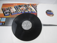 Load image into Gallery viewer, Blink 182 Dude Ranch GRL-004 LP Vinyl
