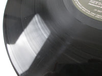 Load image into Gallery viewer, ROLLING STONES BLACK &amp; BLUE WARNER P-10174S with OBI Japan LP Vinyl
