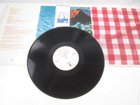 Load image into Gallery viewer, Joe Walsh But Seriously, Folks Promo P-10397Y with OBI Japan LP Vinyl
