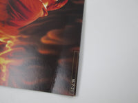 Load image into Gallery viewer, Streets Of Fire OST VIM-6328 with OBI Japan LP Vinyl
