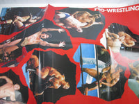 Load image into Gallery viewer, Pro-Wrestling Super Fighter&#39;s Themes SKA-257 with OBI Poster Japan LP Vinyl
