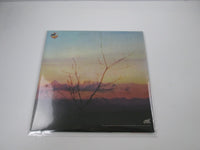 Load image into Gallery viewer, Living Life Mysterious Dream K25P-359 with OBI Japan LP Vinyl
