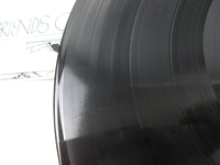 Load image into Gallery viewer, Jon &amp; Vangelis ‎The Friends Of Mr. Cairo 28MM 0050 with OBI Japan LP Vinyl
