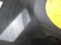 Load image into Gallery viewer, Elvis Presley Raised on Rock RCA-6180 with OBI Japan LP Vinyl B
