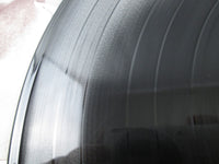 Load image into Gallery viewer, Sylvie Vartan RCA SX-205 with OBI Japan LP Vinyl
