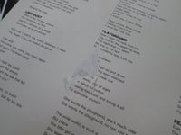 Load image into Gallery viewer, Passion Puppets Beyond The Pale VIL-6122 with OBI Japan LP Vinyl
