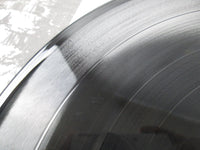 Load image into Gallery viewer, Wishbone Ash ‎New England Promo VIM-6116 with OBI Japan LP Vinyl
