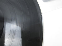 Load image into Gallery viewer, Cherie Currie Beauty&#39;s Only Skin Deep RJ-7319 with OBI Japan LP Vinyl
