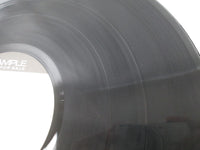 Load image into Gallery viewer, Journey Look Into The Future Promo SOPO-118 with OBI Japan LP Vinyl
