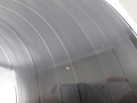 Load image into Gallery viewer, Sylvie Vartan RPL-3508 with OBI Japan LP Vinyl
