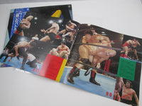 Load image into Gallery viewer, Fighting Battle Field AF-7263 with OBI Japan LP Vinyl
