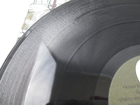 Load image into Gallery viewer, DJ Format Music For The Mature B-Boy 5080005012 LP Vinyl
