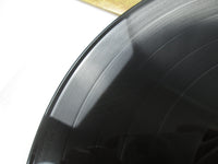 Load image into Gallery viewer, The Guess Who Flavours RCA-6267 with OBI Japan LP Vinyl
