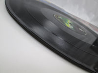 Load image into Gallery viewer, Dio Mystery 15PP-45 with OBI Japan LP Vinyl Junk
