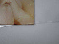 Load image into Gallery viewer, Mireille Mathieu La Vie En Rose SUX-6-V with OBI Japan LP Vinyl
