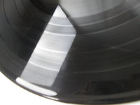 Load image into Gallery viewer, OST(BRUCE LEE) WAY OF DRAGON TAM YX-7011 with OBI Poster Japan LP Vinyl
