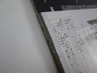 Load image into Gallery viewer, Timothy B. Schmit Timothy B Promo P-13561 with OBI Japan LP Vinyl
