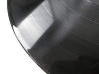 Load image into Gallery viewer, MASAYOSHI TAKANAKA ALONE KITTY 28MK 0025 with OBI Japan LP Vinyl
