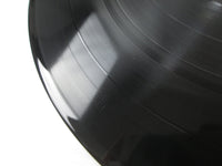 Load image into Gallery viewer, MASAYOSHI TAKANAKA ALONE KITTY 28MK 0025 with OBI Japan LP Vinyl
