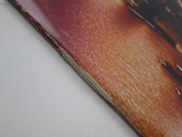 Load image into Gallery viewer, Busta Rhymes ‎Extinction Level Event 62211 LP Vinyl
