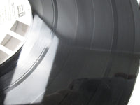 Load image into Gallery viewer, Busta Rhymes ‎Extinction Level Event 62211 LP Vinyl
