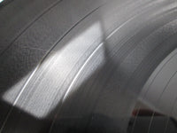 Load image into Gallery viewer, The Moody Blues Every Good Boy Deserves Favour SLC-806 with OBI Japan LP Vinyl
