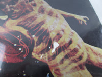 Load image into Gallery viewer, Santana Santana III SOPN-18 with OBI Japan LP Vinyl

