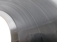 Load image into Gallery viewer, JOURNEY LOOK INTO THE FUTURE CBS/SONY SOPO-118 with OBI Japan LP Vinyl
