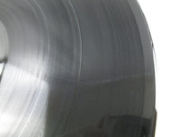 Load image into Gallery viewer, JOURNEY LOOK INTO THE FUTURE CBS/SONY SOPO-118 with OBI Japan LP Vinyl
