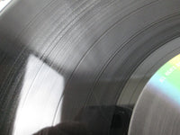 Load image into Gallery viewer, Stargard ‎What You Waitin' For VIM-6180 with OBI Japan LP Vinyl

