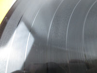 Load image into Gallery viewer, J.B. Hutto &amp; The Hawks With Sunnyland Slim Hawk Squat PA-3016 with OBI LP Vinyl
