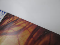 Load image into Gallery viewer, Taja Sevelle Promo P-13571 with OBI Japan LP Vinyl
