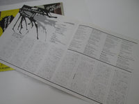 Load image into Gallery viewer, Gary Moore Back On The Streets VIM-6185 with OBI Japan LP Vinyl
