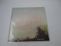 Load image into Gallery viewer, Wishbone Ash Argus MCA Records MCA-6066 with OBI Japan LP Vinyl B
