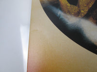 Load image into Gallery viewer, DIO ROCK’N’ROLL CHILDREN 15PP-53 with OBI Japan LP Vinyl
