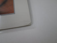 Load image into Gallery viewer, POISON LOOK WHAT THE CAT DRAGGED IN 28AP 3202 with OBI Poster Japan LP Vinyl
