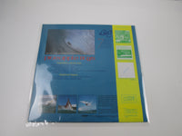Load image into Gallery viewer, Pineapple Boys Big Wave MOON-25002 with OBI Japan LP Vinyl
