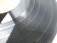 Load image into Gallery viewer, Sylvie Vartan ‎Gold Deluxe RCA-8021,2 with OBI Japan LP Vinyl
