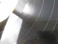 Load image into Gallery viewer, All The Hits Of Monster Disco Sounds SUX-21-V with OBI Japan LP Vinyl
