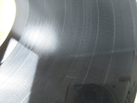 Load image into Gallery viewer, Elvis Presley Elvis Country RCA SHP-6182 with OBI Japan LP Vinyl
