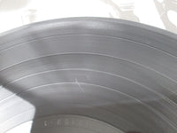 Load image into Gallery viewer, a-ha Hunting High And Low Promo P-13153 with OBI Japan LP Vinyl
