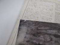 Load image into Gallery viewer, OST (BRUCE LEE) ENTER THE DRAGON WARNER P-5526,7W with OBI Poster Japan LP Vinyl
